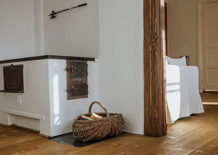 Punaneloss - Avar Korter Suedames *