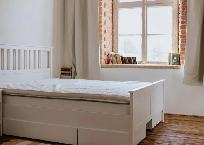 Punaneloss - Avar Korter Suedames *